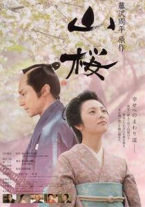 Горная сакура 2008