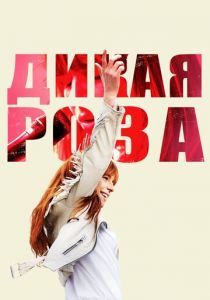 Дикая Роза 2018