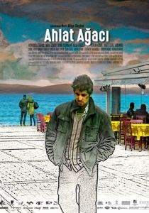 Дикая груша 2018