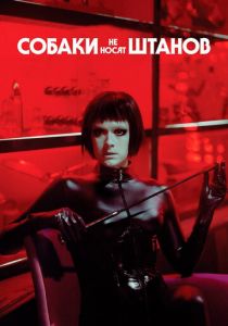 Собаки не носят штанов 2019