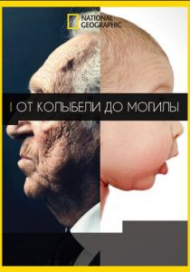 От колыбели до могилы 2016