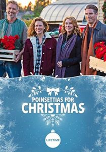 Пуансеттии на Рождество 2018