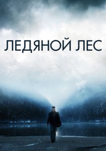 Ледяной лес 2014