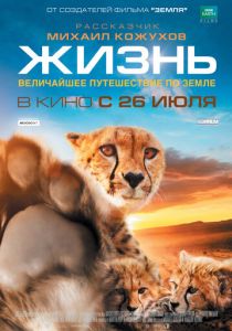Жизнь 2011