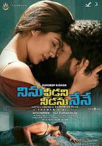 Ninu Veedani Needanu Nene 2019