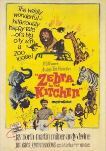 Зебра на кухне 1965