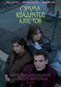 Сумма квадратов катетов 2024