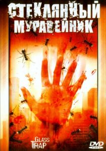 Стеклянный муравейник 2005