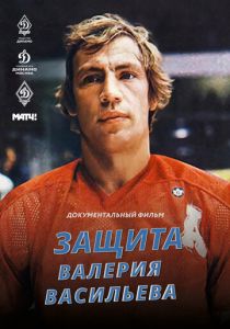 Защита Валерия Васильева 2020
