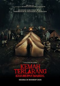 Коллективный транс 2024