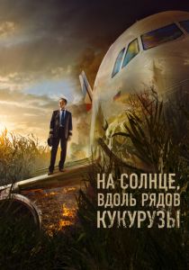 На солнце, вдоль рядов кукурузы 2023