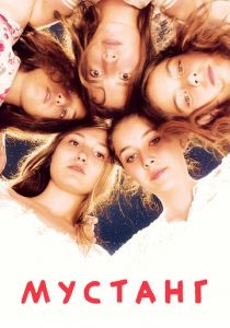 Мустанг 2015