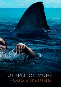 Открытое море: Новые жертвы 2010
