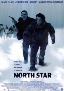 Северная звезда 1996