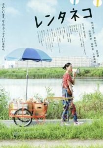 Кошка напрокат 2012