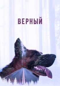 Верный 2016