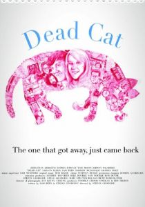 Мертвый кот 2013