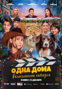 Одна дома: Великолепная пятерка 2024