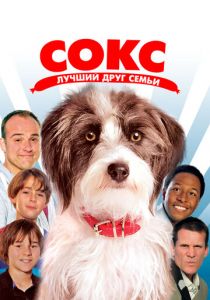 Сокс. Лучший друг семьи 2013