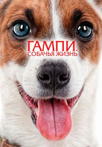 Гампи. Собачья жизнь 2024