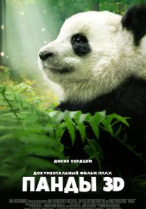 Панды 3D 2018