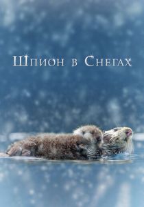 Шпион в снегах 2018