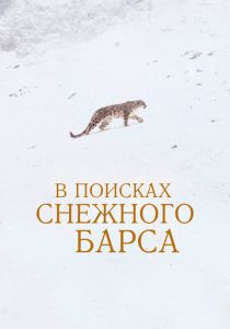 В поисках снежного барса 2021