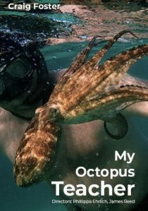 Мой учитель-осьминог 2020