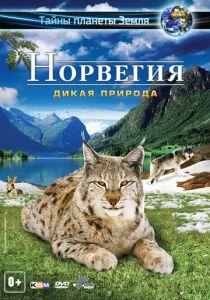 Норвегия 3D: Дикая природа 2013