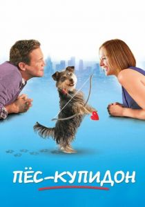 Пес-купидон 2012