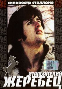 Итальянский жеребец 1970