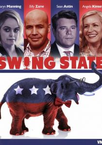 Колеблющийся штат 2017