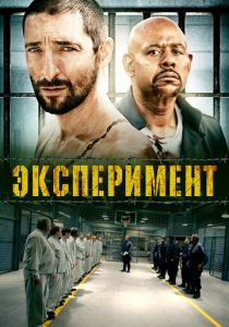 Эксперимент 2010