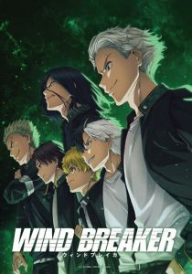 Ветролом 2024