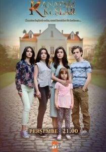 Птицы без крыльев (2017 Сериал)