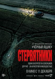 Стервятники (2025 Фильм)