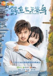 Как чистить зубы крокодилу (2019 Сериал)