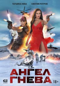 Ангел гнева ( Фильм)